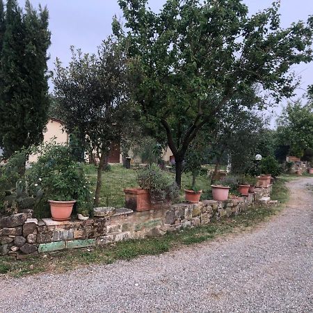 Agriturismo Oria Bianca Villa San Quirico d'Orcia Eksteriør billede