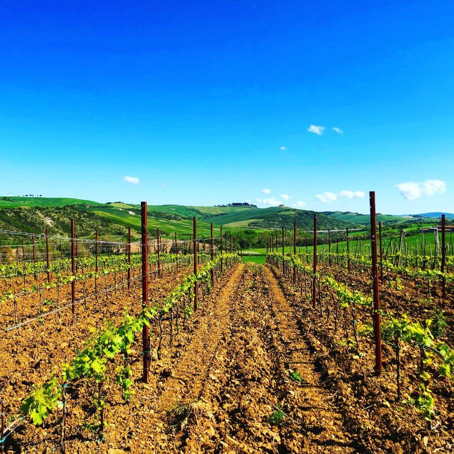 Agriturismo Oria Bianca Villa San Quirico d'Orcia Eksteriør billede
